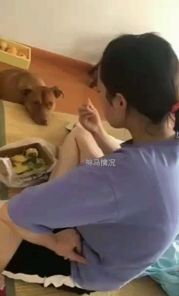 搞笑gif好想去水上乐园工作工资无所谓主要是图个凉快