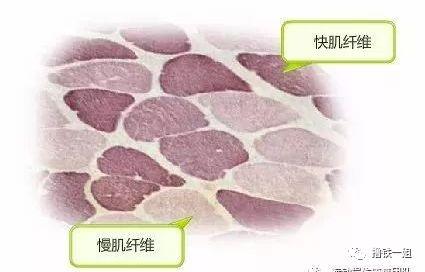 陈妍希坚持跑步一斤没瘦还把腿跑粗了，跑步真的是腿粗噩梦吗？