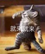 把今年大品牌年的“高光防晒”都拿来测评，有的连及格线都没过