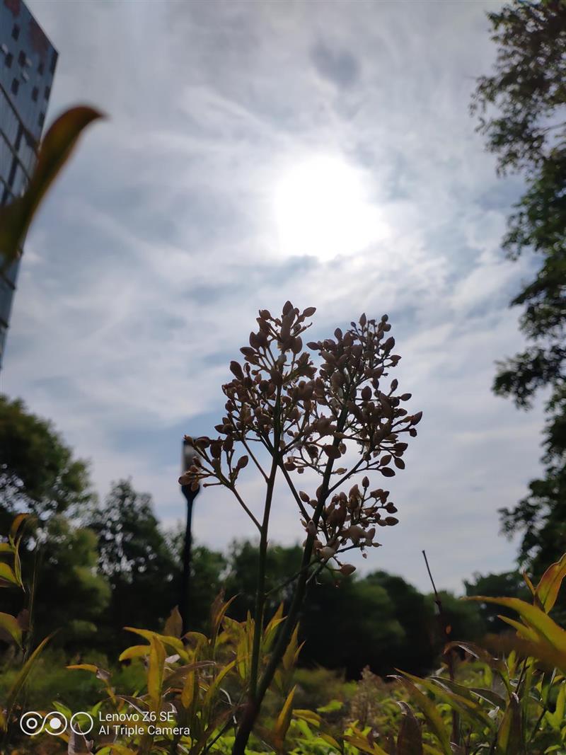 4050大电池+“神U”710 联想Z6青春版全面评测：告别续航焦虑