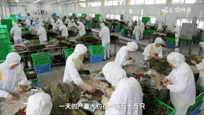 嘉兴肉粽