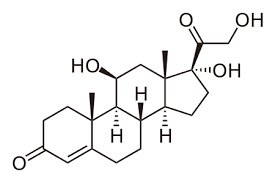 7C845363CE7404D3C4EBC542E7839AF5CF5C45E3_size3_w275_h183.png