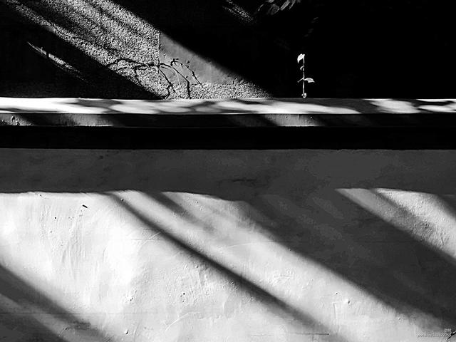 摄影实战指导:拍摄明暗对比强烈的画面,如何进行测光