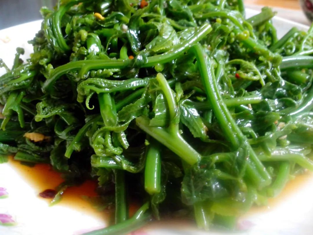 北京人最爱吃的40盘凉菜，清脆爽口又过瘾！