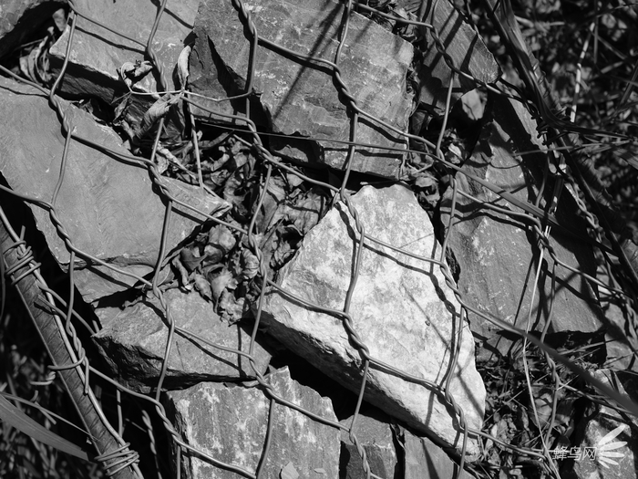 色彩艺术下的高级质感 富士胶片模拟功能试拍 色彩艺术下的高级质感 富士胶片模拟功能试拍