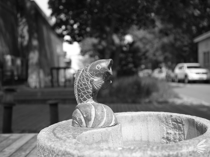 色彩艺术下的高级质感 富士胶片模拟功能试拍 色彩艺术下的高级质感 富士胶片模拟功能试拍