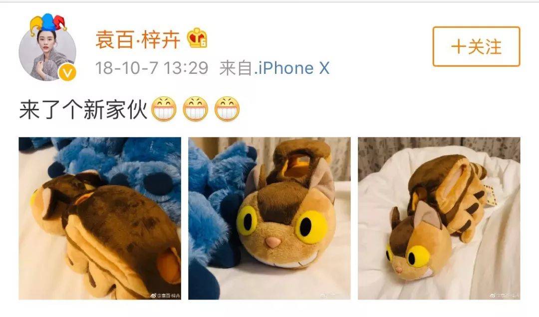 许晴徐静蕾杨幂杨紫,充满“飒”气的北京大妞还有她