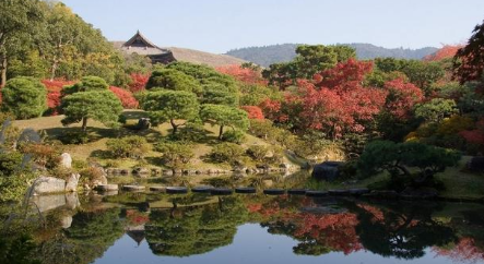 想去日本深度旅游，有哪些冷门的地方景点一定要去？