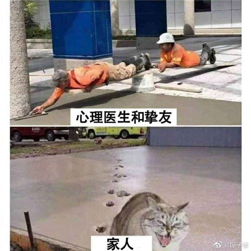 每日神段子腿毛多其实是一件好事