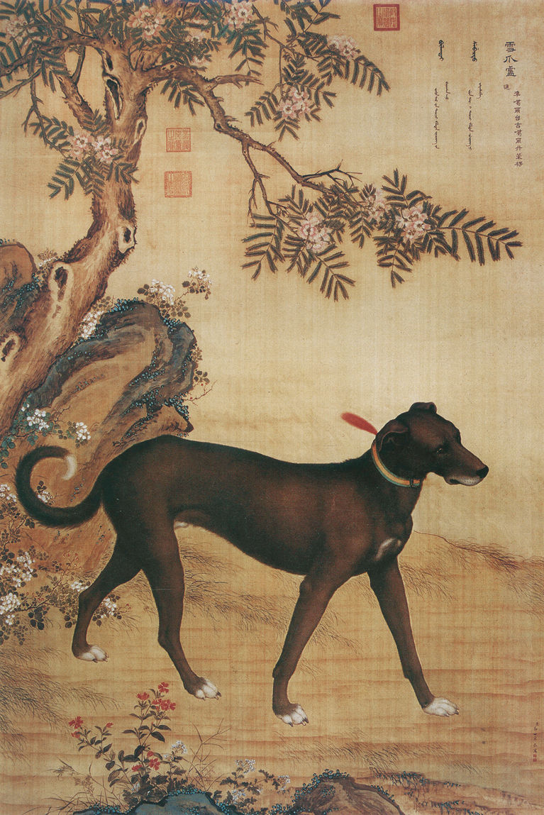 清 郎世宁 十骏犬图之“雪爪卢” 台北故宫博物院藏