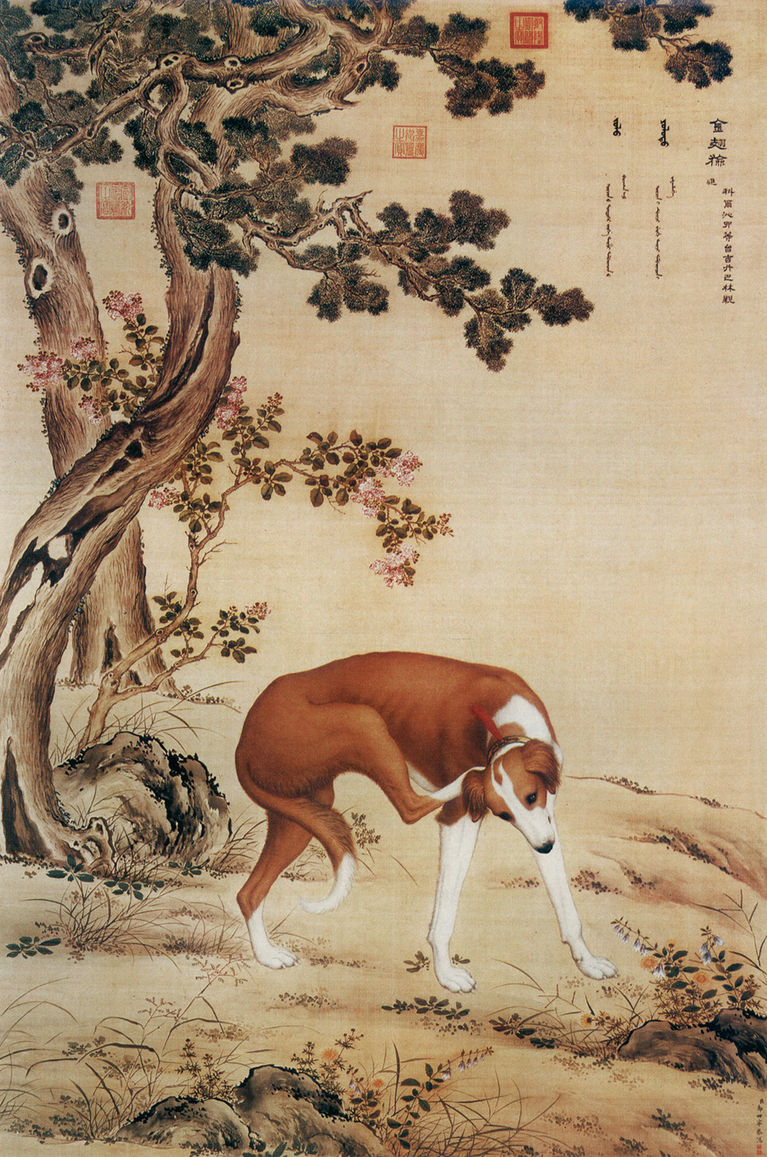清 郎世宁 十骏犬图之“金翅猃” 台北故宫博物院藏