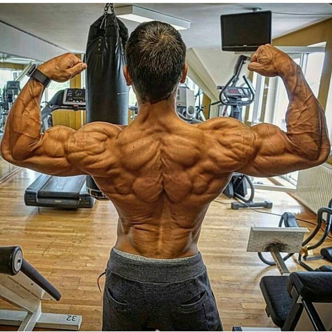 背肌训练不用慌，这些动作让你刚!