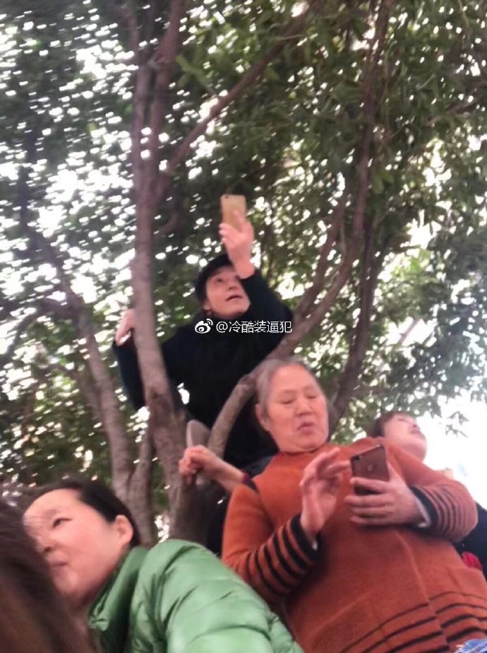每日神段子丨恨一个人，就送他这件礼物！