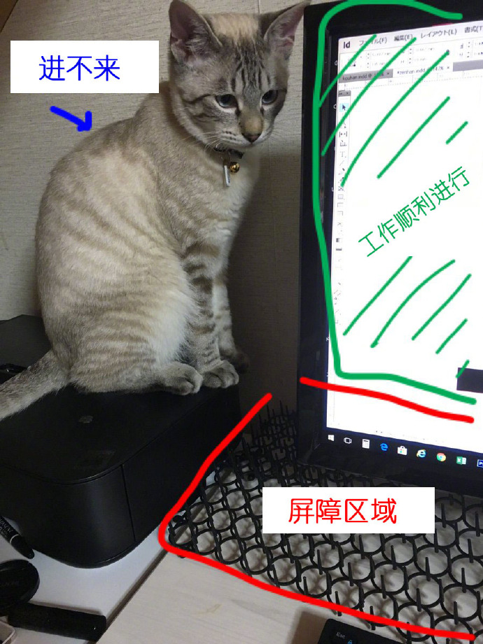 每日神段子丨穿这鞋子的应该都是不食人间烟火的仙女！