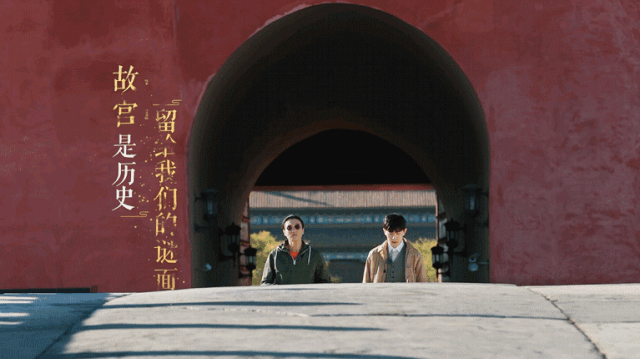 明星怎么都在玩蛋蛋