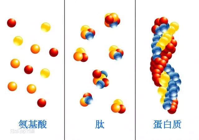 赵丽颖代言的这个国货先不说质量不过关，这像素级抄袭的包装LP看到会吐血啊！