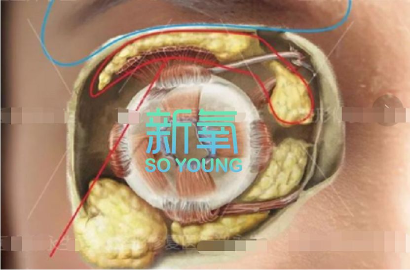 婚后臃肿变老的宋慧乔又美回来了，新剧竟比小12岁男主还嫩！