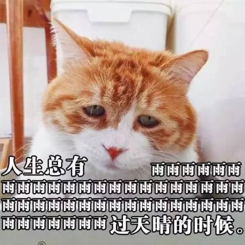 林允的大小眼已经严重到变成“肌无力”了···