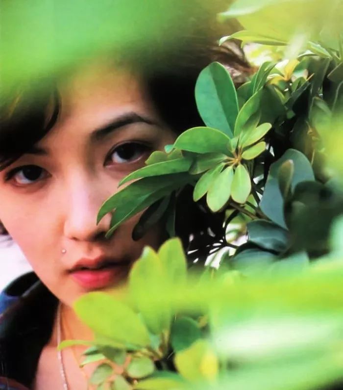 杨幂新写真美出天际，但疑似抄袭张柏芝？