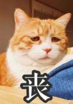 林允的大小眼已经严重到变成“肌无力”了···