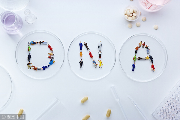 消费级基因检测一片蓝海，「各色DNA」要通过心理和行为分析走出差异化