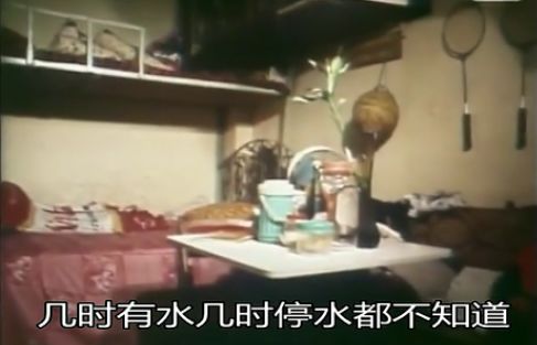 王晶花千万,还原人间炼狱