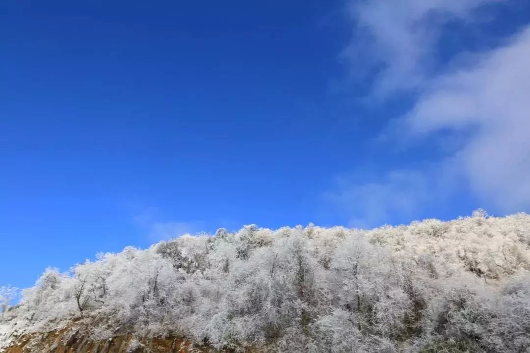 雪!雪!九皇山下雪了,快来围观