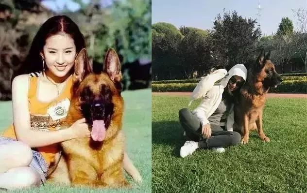 王思聪17任女友过往现状深扒,原来校长也是个痴情的人儿啊…