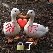 对待霸权都理性克制的韩雪，因为变态男当众发飙爆粗了！