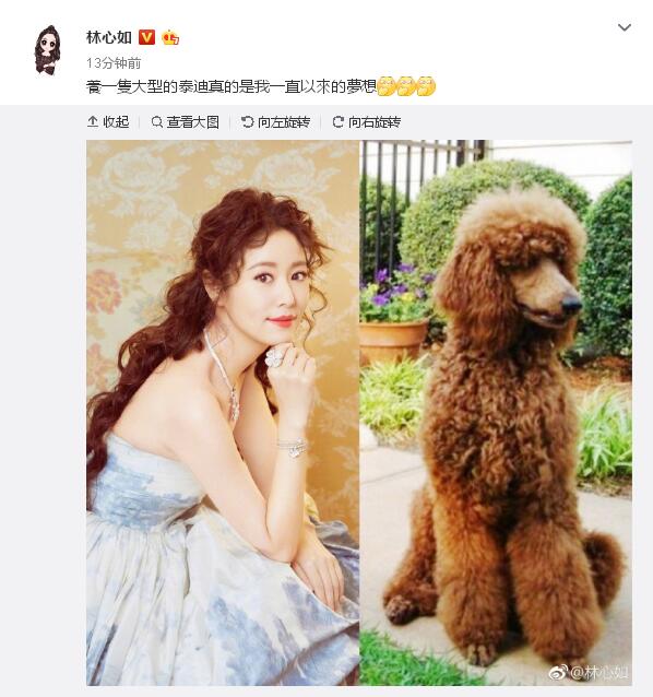 林心如吐槽自己的发型像泰迪，网友：现在的明星都这么幽默吗？