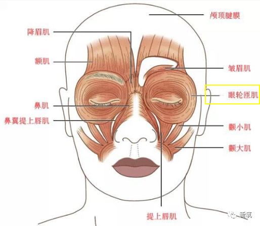 张雨绮新脸比马脸还长，眼角开到山根是多想不开？