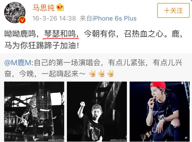 马思纯你别再装文青了