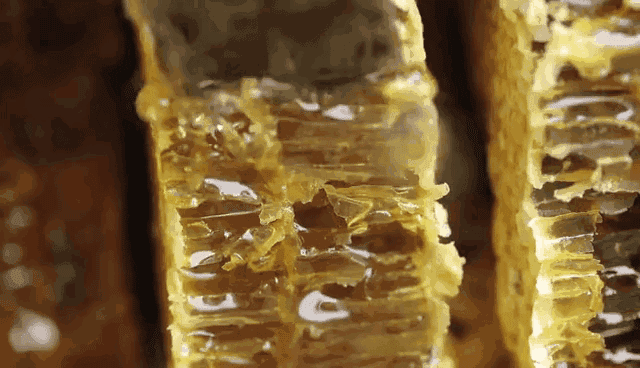 184685BA3AD7C27048BF06AC45E34B0B9492B038_size1410_w640_h368.gif