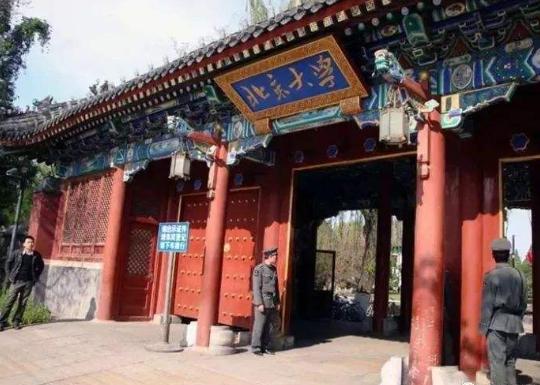 跳蚤造就了她的成功之路,如今拥有净资产上亿去项圈挫折狗狗图片