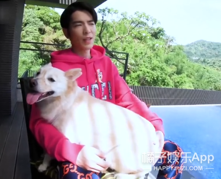 被他和流浪猫狗的故事感动了...