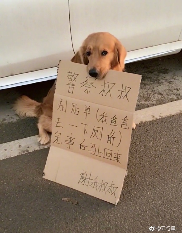 每日神段子丨生活让你咬牙坚持的真正目的是让你的咬肌变大 ​​​​