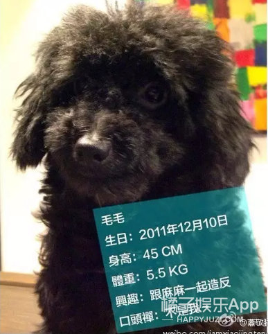 被他和流浪猫狗的故事感动了...