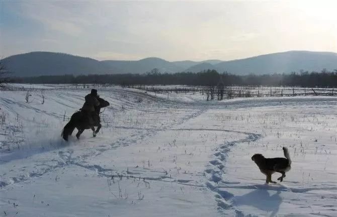 世界上最孤独的职业是什么？