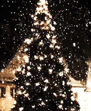 圣诞树也有新花样,YOYO特意送给你看看