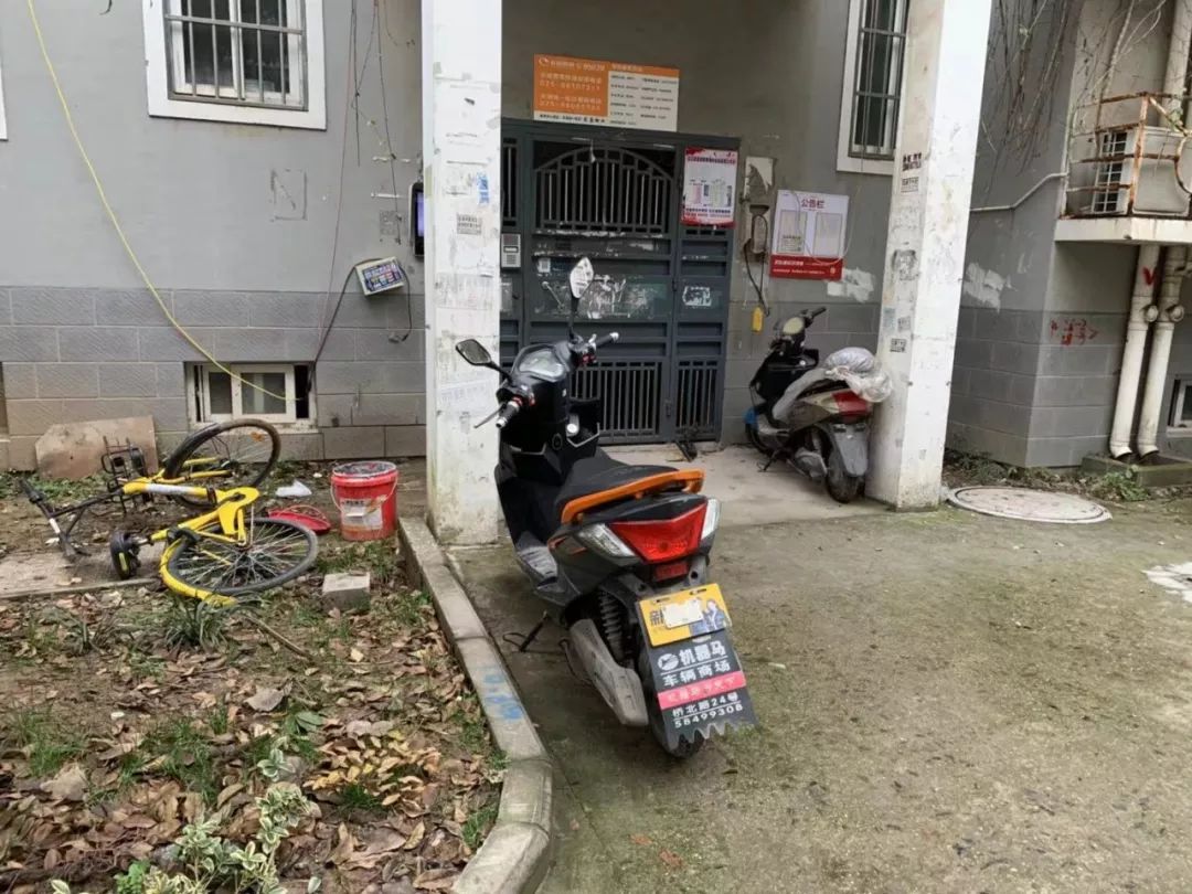 惊魂电梯、环境脏乱差！南京这家小区业主爆发了，正在集体换物业！__凤凰网