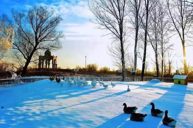 稻香湖景第二届冰雪嘉年华