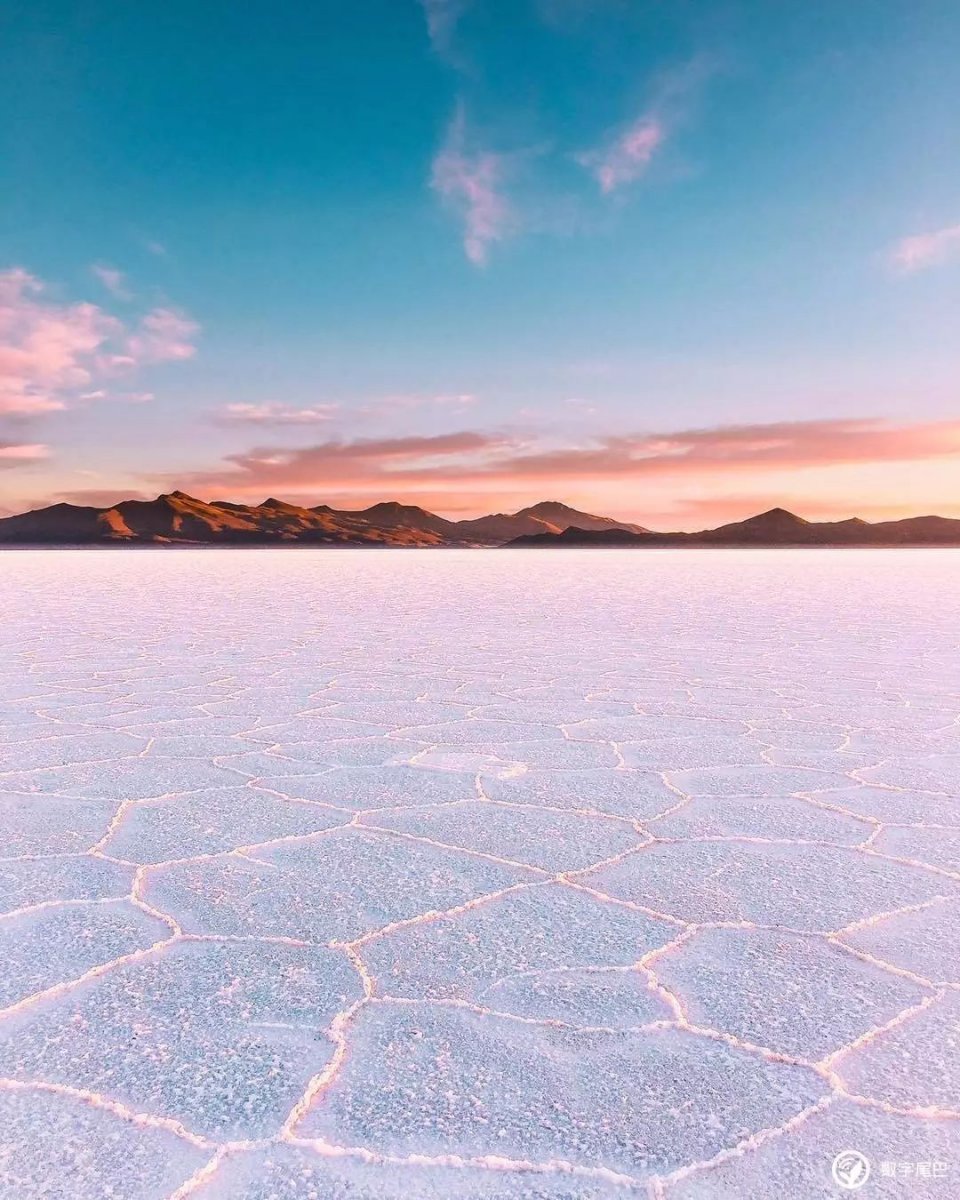 苹果在 Instagram 上选出了这九张年度照片