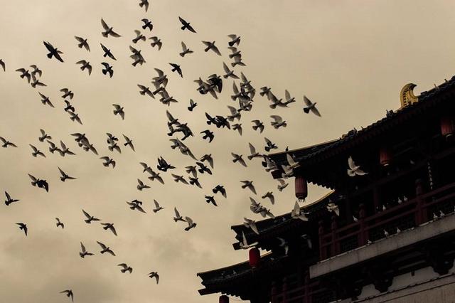 历史上最美的十个古代城市名,诗意满满,韵味十足,你比较中意哪个?