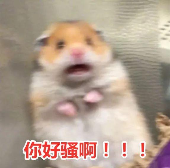 пڳ˽ʲô飿