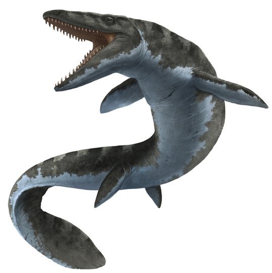 沧龙号称远古海洋霸主,但也难免成为这种鲨鱼的腹中