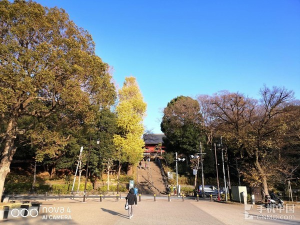 当华为nova4遇见东京：古今交融唯有广角相配