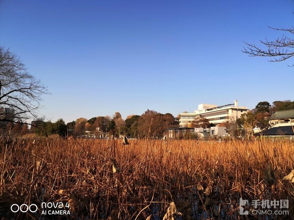 当华为nova4遇见东京：古今交融唯有广角相配