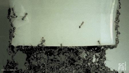 靠搞笑登上《nature》封面，他戴着马桶圈领“诺奖”