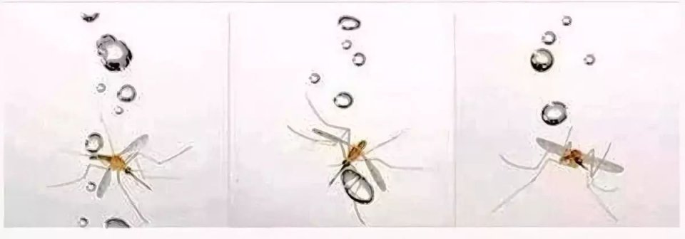 靠搞笑登上《nature》封面，他戴着马桶圈领“诺奖”