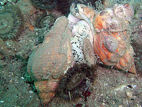 4ef44a8831e842878bf0fb87917f209d.jpg 4ef44a8831e842878bf0fb87917f209d.jpg